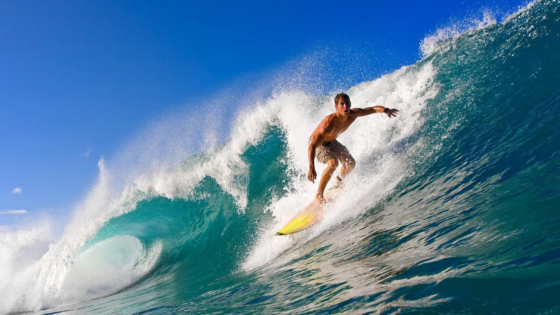 德甲青年军冲击欧战席位，德国青年队冠军